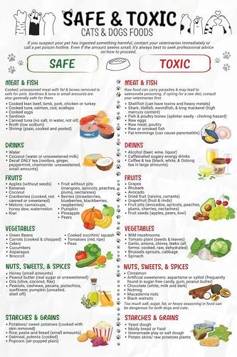 Pet Nutrition Guide Poster - Safe Foods vs Toxic Foods for Dogs and Cats, Essential Diet Chart for Responsible Owners(Framed,16x24inch(40x60cm)) — Pet Supplies review