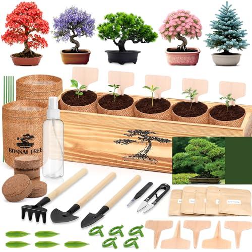 5 Pack Bonsai Tree Kit - 5 Seeds Growing Plant Bonsai Tree Live Kit for Beginners, Easy to Grow Complete Indoor Garden Starter Kits with Wooden Box & Tools, Christmas Gifts for Men Women Plant Lover — Patio, Lawn & Garden review