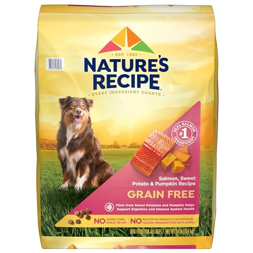 Nature's Recipe Grain Free Dry Dog Food, Salmon, Sweet Potato & Pumpkin Recipe, 34 lb. Bag — Pet Supplies review